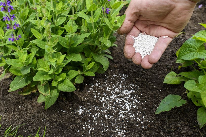 przyjazna Ogrodnicze artykuły, sprzęt, Agro-Max, Radom